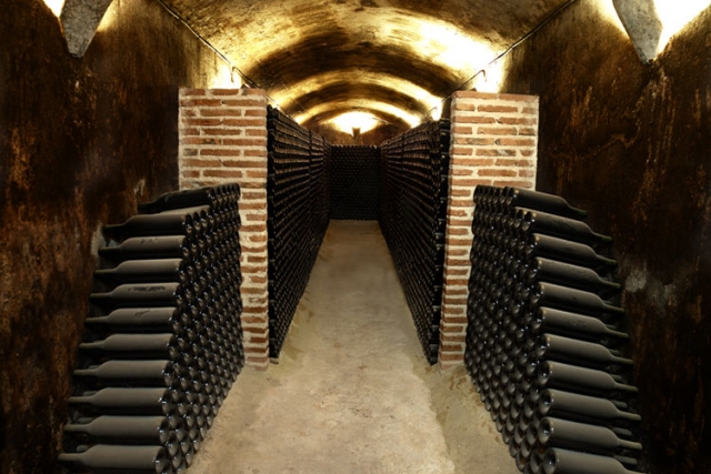 Interior de la bodega